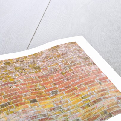 Brickwall by Assaf Frank